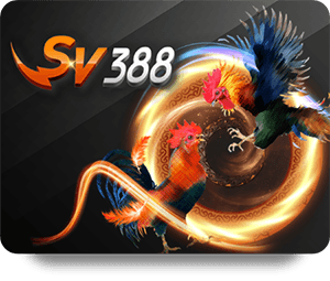 Best SHBET Live Dealer Hot Bonuses and Promotions Today